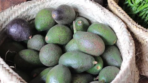 Basket of avocados Stock Footage 162973416