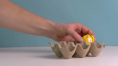 Basket both(1) Stock Footage 167993791