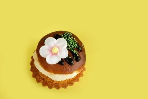 Basket cake on a yellow background Stock Photos