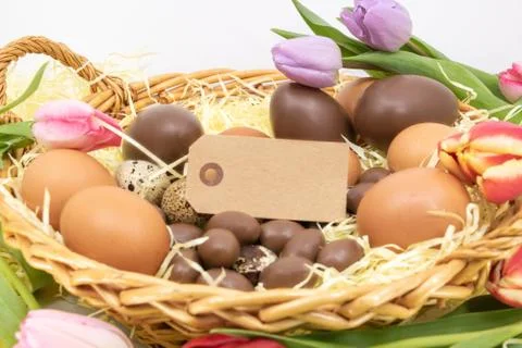 Basket to celebrate Easter with eggs, a text box and tulips Stock Photos