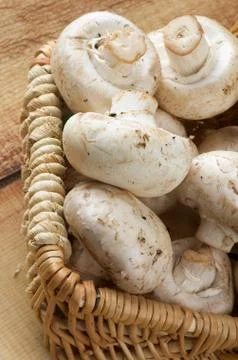 Basket with Champignons Stock Photos