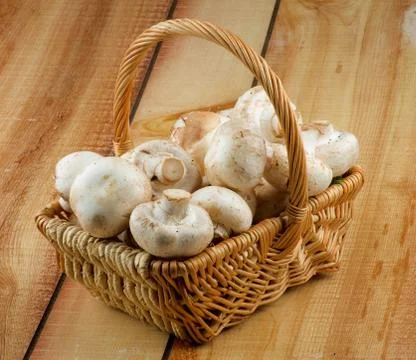 Basket with Champignons Stock Photos