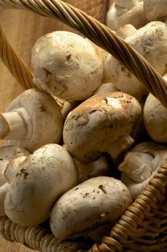 Basket of Champignons Stock Photos