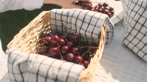 A basket with cherries. Harvesting. Cherry sorting. 스톡 동영상 245582172
