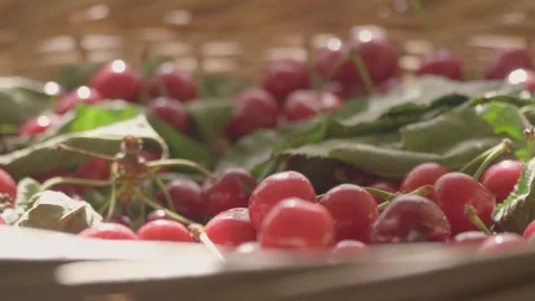 Basket Cherries Slow Motion Video stock 276193586