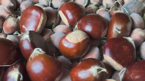 Basket of chestnuts macro Stock Footage 347934052