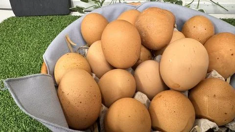 Basket of chicken eggs on a table over farm in the countryside, healthy org.. Stock Photos