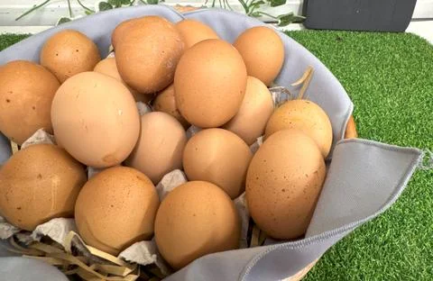 Basket of chicken eggs on a table over farm in the countryside, healthy org.. Stock Photos