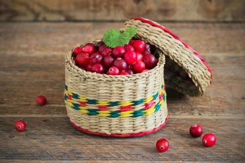Basket of cranberries Stock Photos