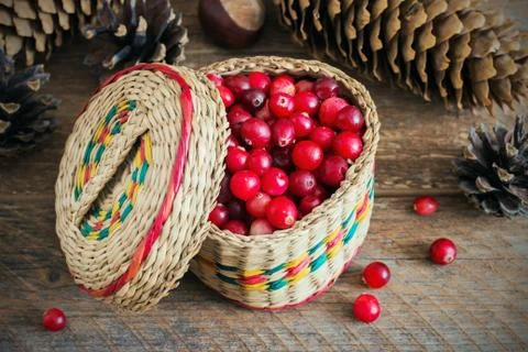Basket of cranberries Stock Photos