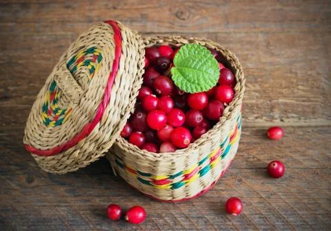 Basket of cranberries Stock Photos
