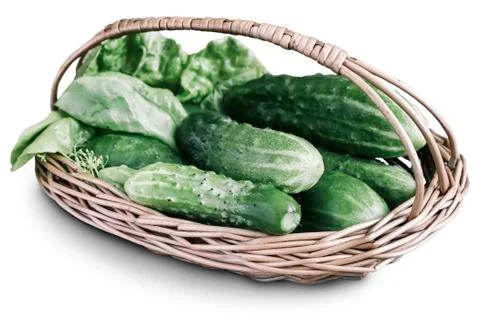 Basket with cucumbers on a white background. Stock Photos