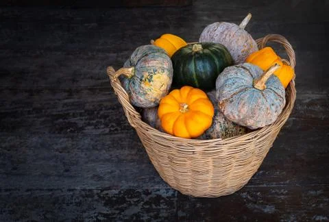 Basket with different multi-colored pumpkins on the dark wooden background. oran Stock Photos