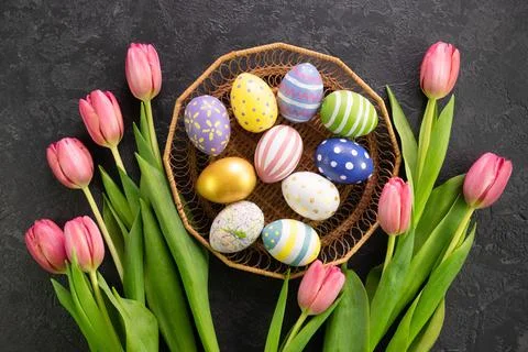 Basket with easter eggs and pink tulips on a dark concrete background. Hello Stock Photos