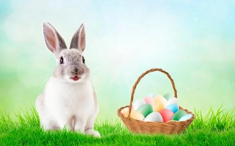 Basket of easter eggs and rabbit on green grass at sunny day. Stock Photos