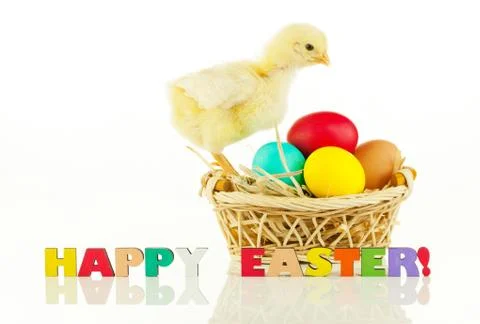 Basket with the easter eggs and small chicken Stock Photos