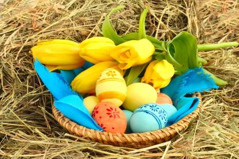 Basket of easter eggs and tulips on hay Foto stock