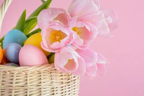 Basket with Easter eggs and tulips on pink background close-up, copy space Stock Photos