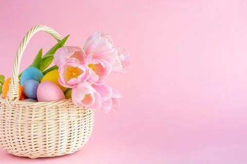 Basket with Easter eggs and tulips on a pink paper background, copy space Stock Photos