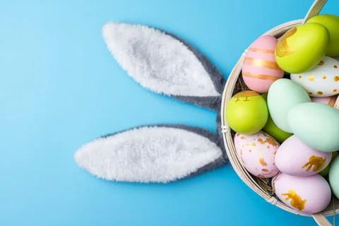 A basket of Easter eggs with bunny ears on blue background. Top view. Easter  Stock Photos