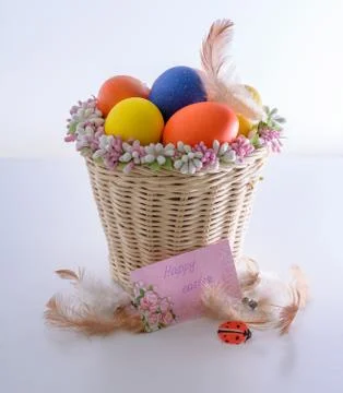 Basket with easter eggs, feathers, ladybug and card with wishes Stock Photos