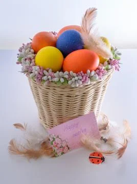 Basket with easter eggs, feathers, ladybug and card with wishes Stock Photos