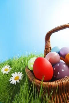 Basket of easter eggs Stock Photos