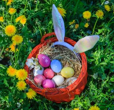 Basket Easter eggs 写真素材