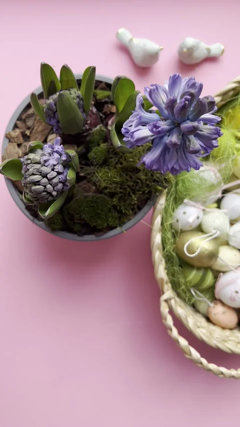Basket with easter eggs with purple hyacinth and daffodils. View from above 스톡 동영상 170553867