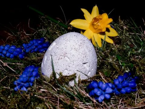 Basket with easter eggs on white background Stock Photos