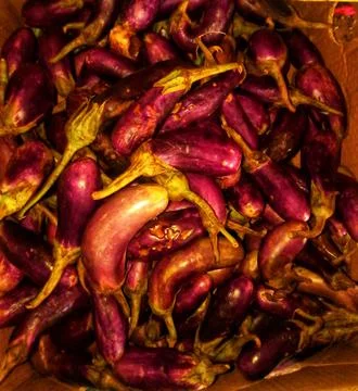 Basket eggplant Stock Photos