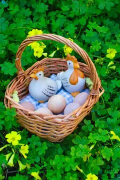 Basket with eggs and two ceramic chicken figurines Stock Photos