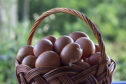 Basket of eggs. Blurred background. Stock Photos