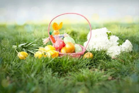 Basket of eggs hand-painted with Hydrangea flower Stock Photos
