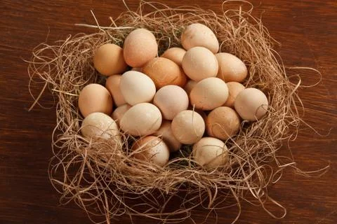 Basket with eggs Фото