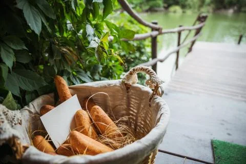 Basket filled with bread against the backdrop of the lake with a bridge. Stock Photos