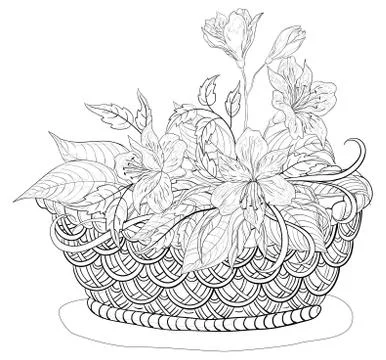Basket with flowers, contours Stock-Illustration