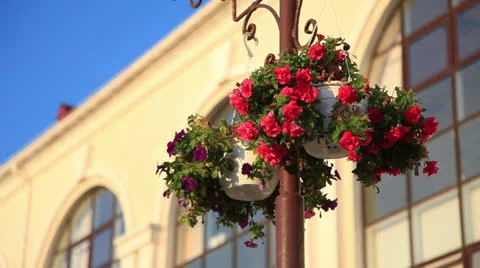Basket of flowers hanging on the pole. Stock Footage 27111444