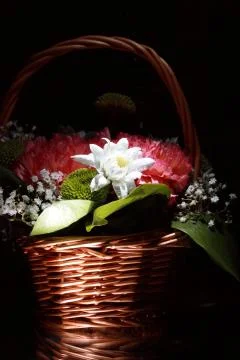 Basket with flowers Stock Photos