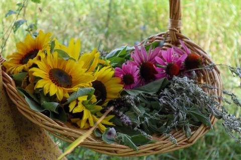 Basket of Flowers Stock Photos