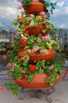 A basket of flowers. Stock Photos