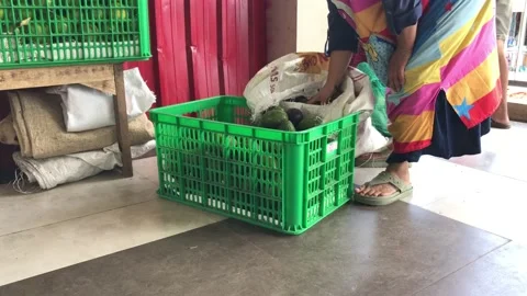 Basket Stock-Footage 194379865