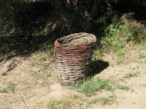 Basket in forest 스톡 사진