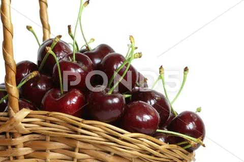 Basket of fresh cherries Stock Photos