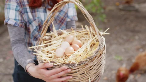 Basket of fresh chicken eggs Video stock 188456732