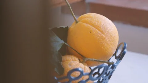 Basket with fresh oranges Stock Footage 86751229