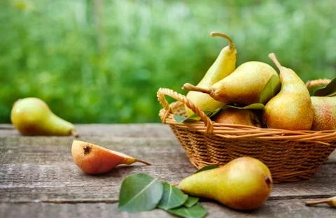 Basket with fresh pears Stock Photos