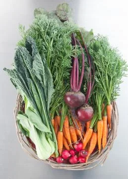 Basket of fresh vegetables Stock Photos