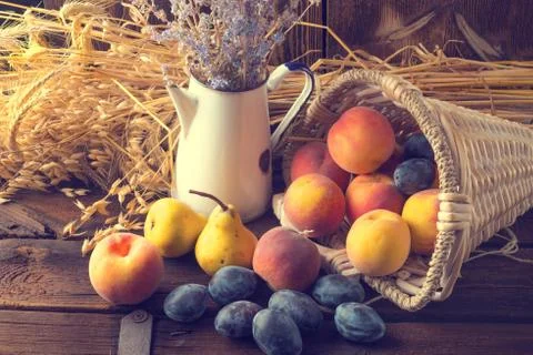 Basket of fruit Stock Photos