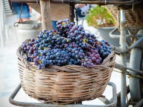 Basket full of black grapes Stock Photos